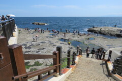 2017江の島 (6)