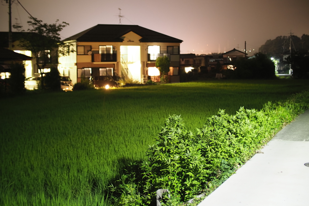 夏の夜　寝苦しくて・・・