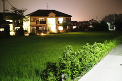 夏の夜　寝苦しくて・・・