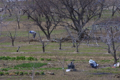 EOS D30の時 11