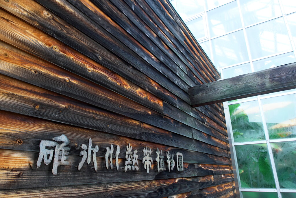 2019 碓氷川熱帯植物園 (1)