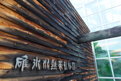 2019 碓氷川熱帯植物園 (1)