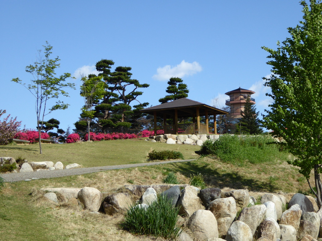 2016 松本市アルプス公園にて (1)