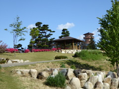 2016 松本市アルプス公園にて (1)