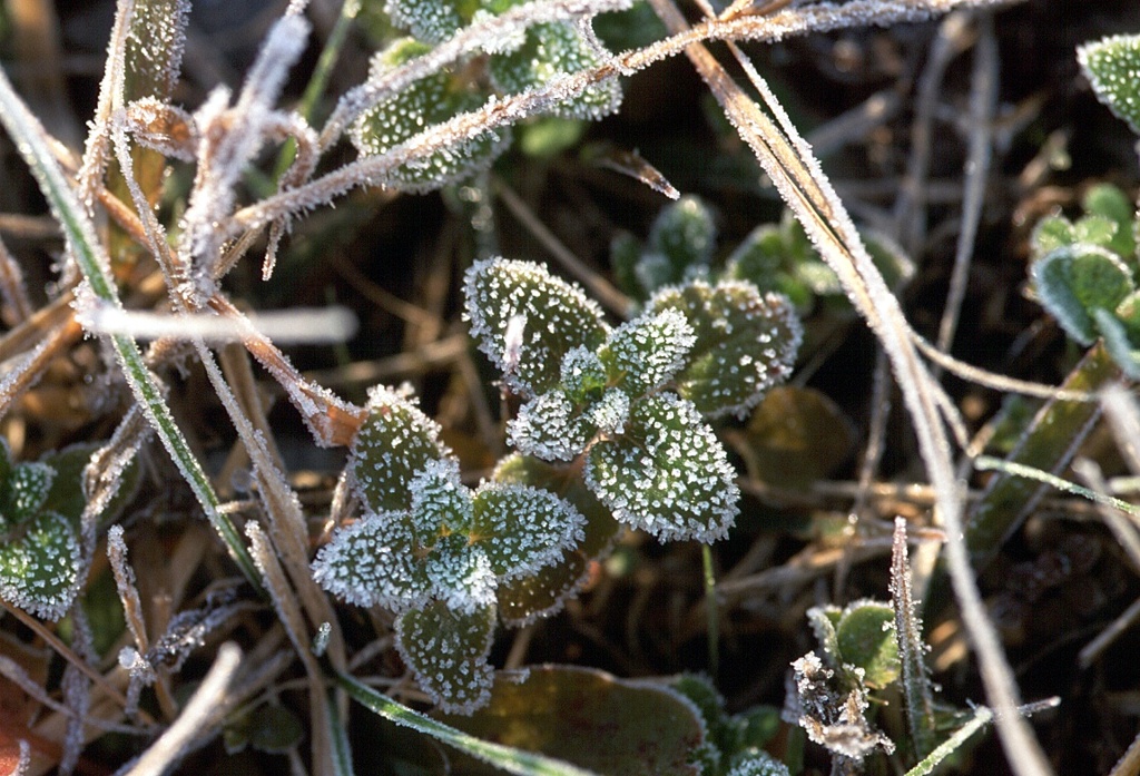 フィルム時代 92