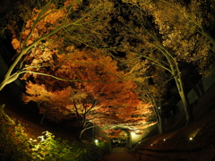 上田城・秋の夜 (1)