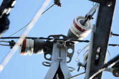 Test Shot　RF 800mm