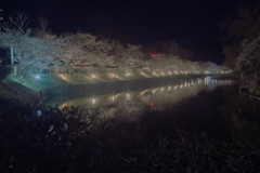 松本城2019春  (7)