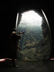 水族館の水槽の中を撮る人を撮る　2