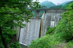 2020春の碓氷峠にて (2)