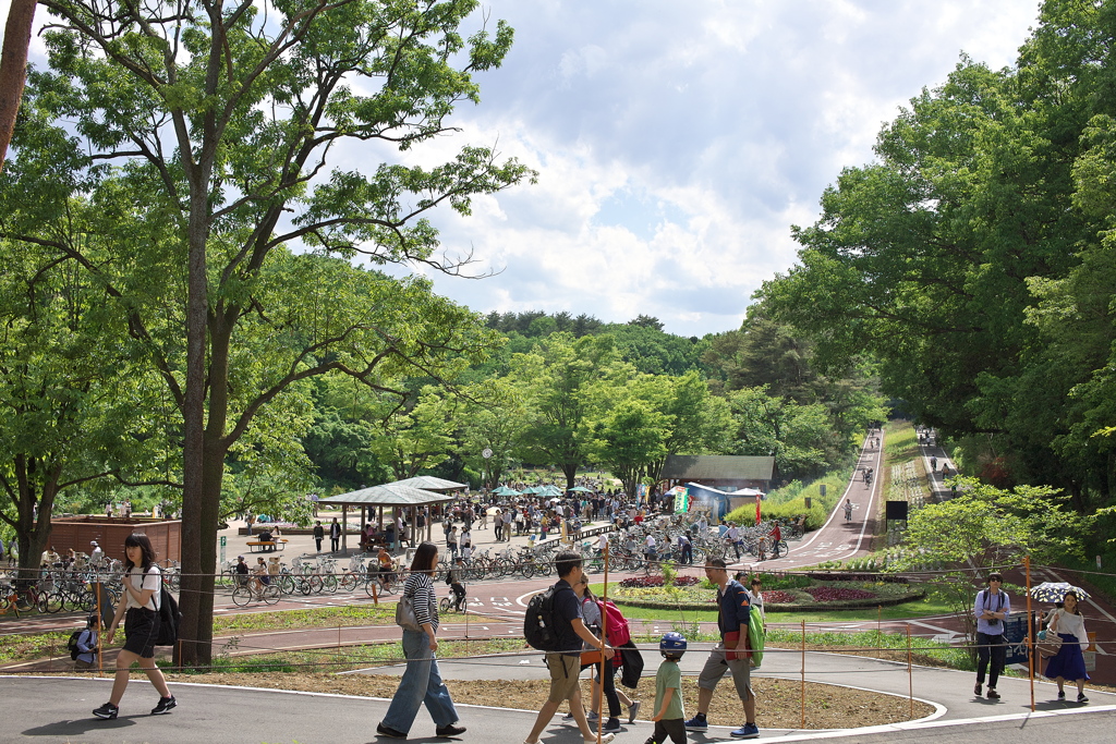 2018春 武蔵丘陵森林公園にて (10)