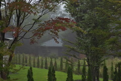 秋を呼ぶ雨