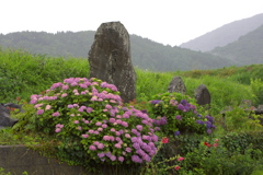 EOS D30の時 87(再処理）