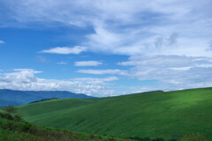 霧ヶ峰・青白緑