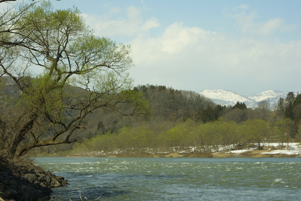 EOS D30の時 14