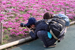 2019富士芝桜まつりにて 撮る人を撮る (1)