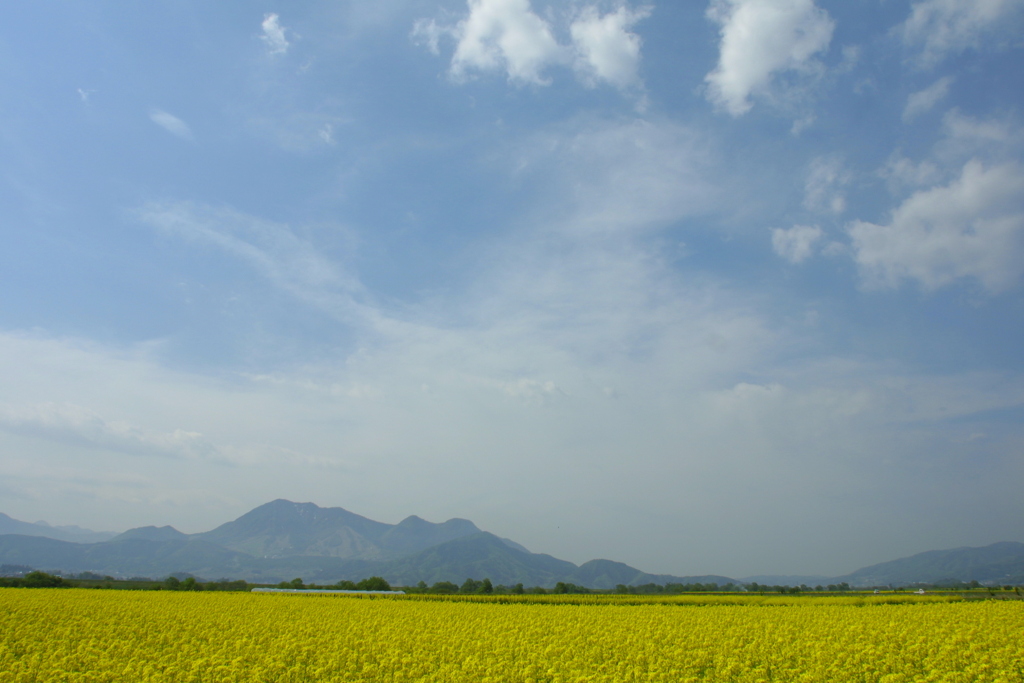 EOS D30の時 24