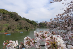 17_04_02 東京 千鳥ヶ淵にて (4)
