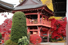 茅野市長円寺の紅葉から 2
