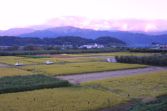 EOS D30の時 54