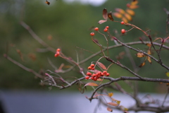 EOS D30の時 69