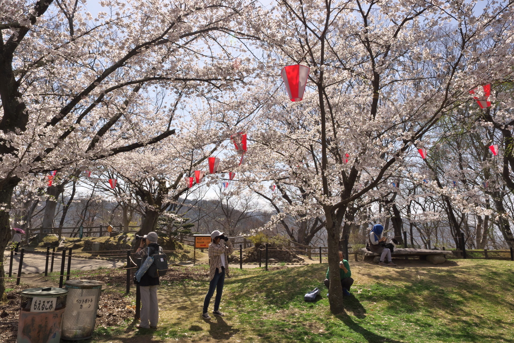 2019春の懐古園で撮る人を撮る (4)