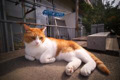 ネムインダッテバ
