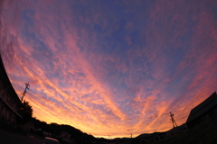 ベニソラ（ある日の夕焼け）