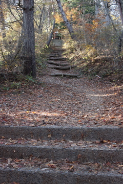 山の中の参道