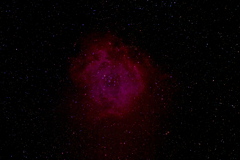 去年撮ったバラ星雲を再処理してみた（青ハロがひどいなぁ）