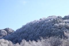 雪模様 2018 (4)