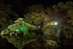 ぐんまフラワーパークのイルミネーションより (3)