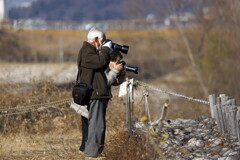 犀川白鳥湖の白鳥を(10)撮る人を撮る