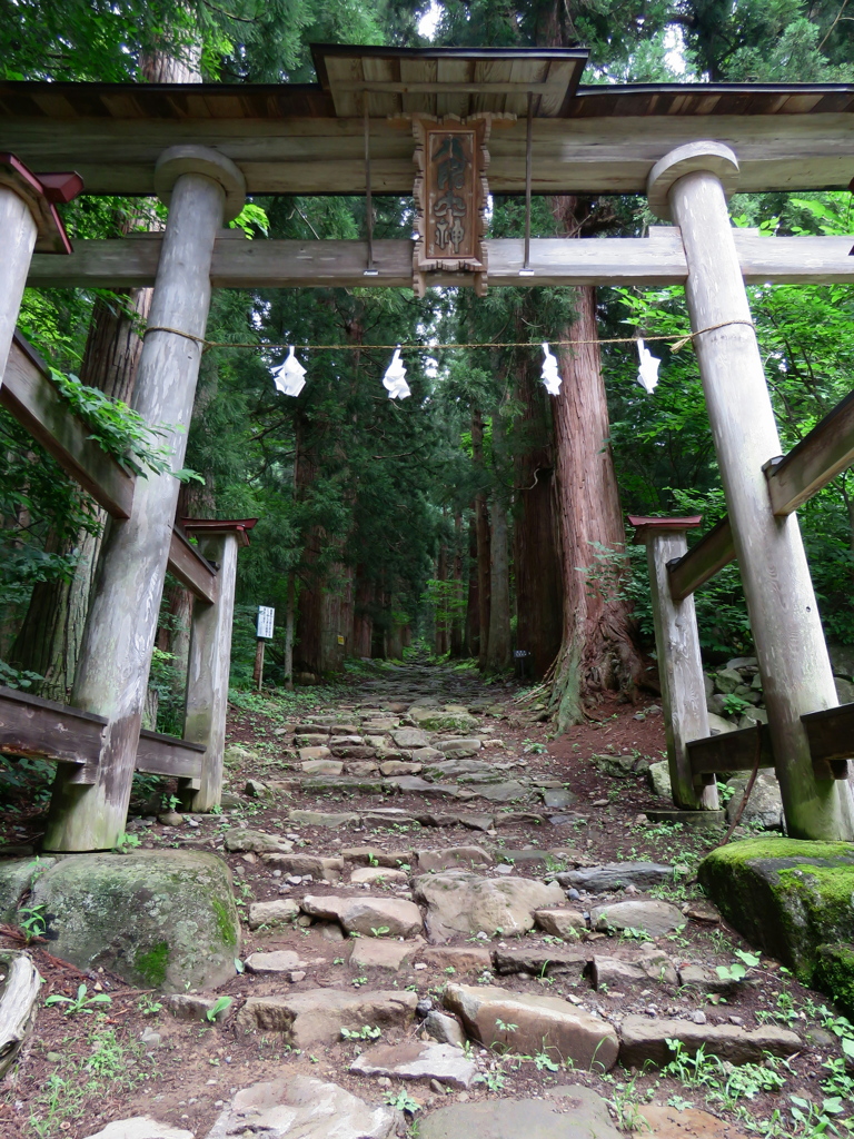 古参道