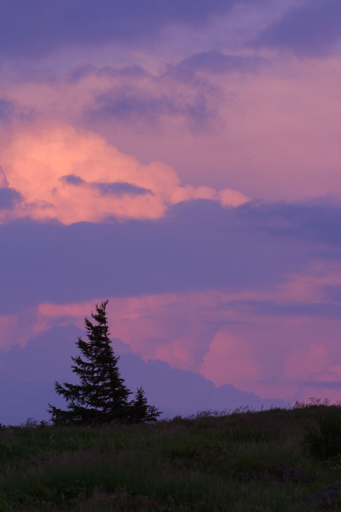 EOS D30の時 45
