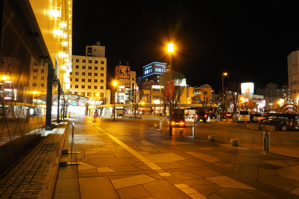しなの鉄道の夜 (58)上田駅