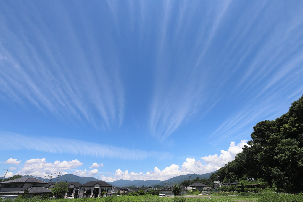 夏が来る