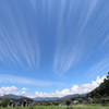 夏が来る