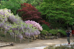 上田市 前山寺にて (16)