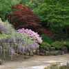 上田市 前山寺にて (16)