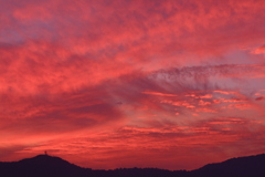 EOS D30の時 49