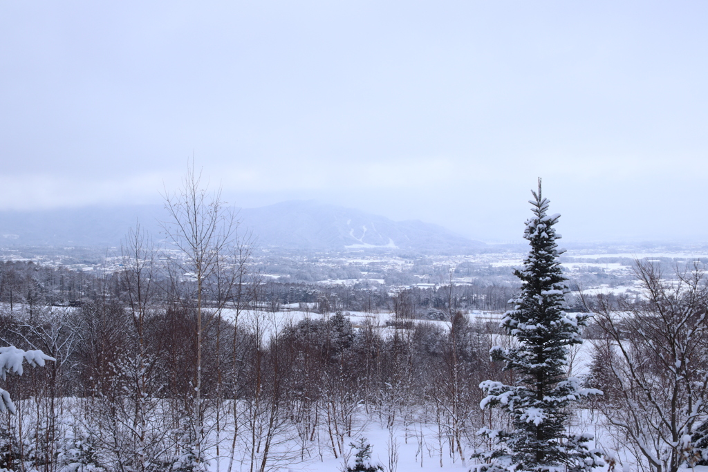 雪模様 2018 (2)