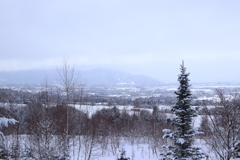 雪模様 2018 (2)