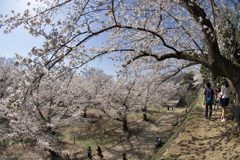 2019春の懐古園にて (7)