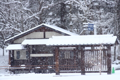 雪模様 2018 (3)