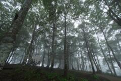 高原は霧の中 (3)