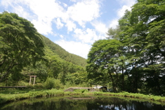 20Dで撮る (10)