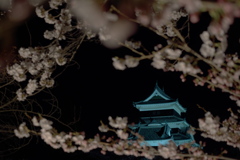 松本城2019春  (10)