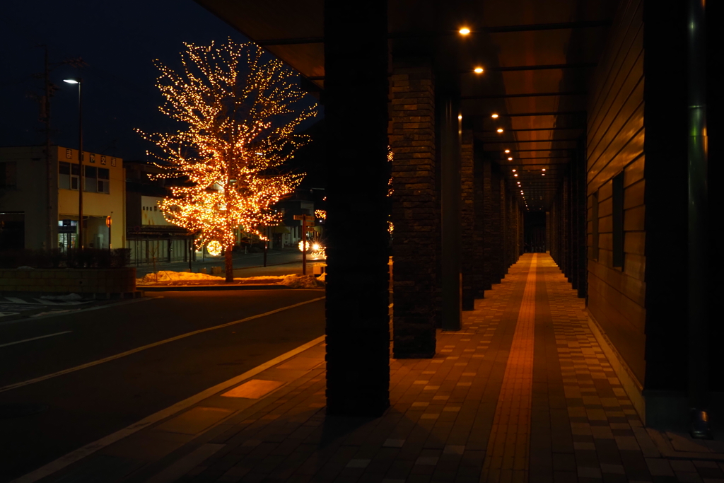 しなの鉄道の夜 (12)中軽井沢駅