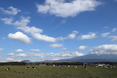 朝霧高原から富士山